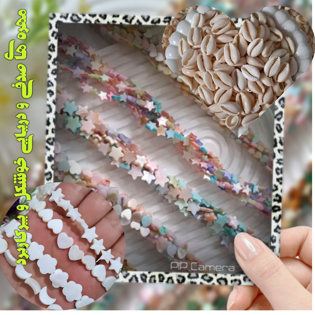 انواع سنگها و مهره های  صدفی و دریایی