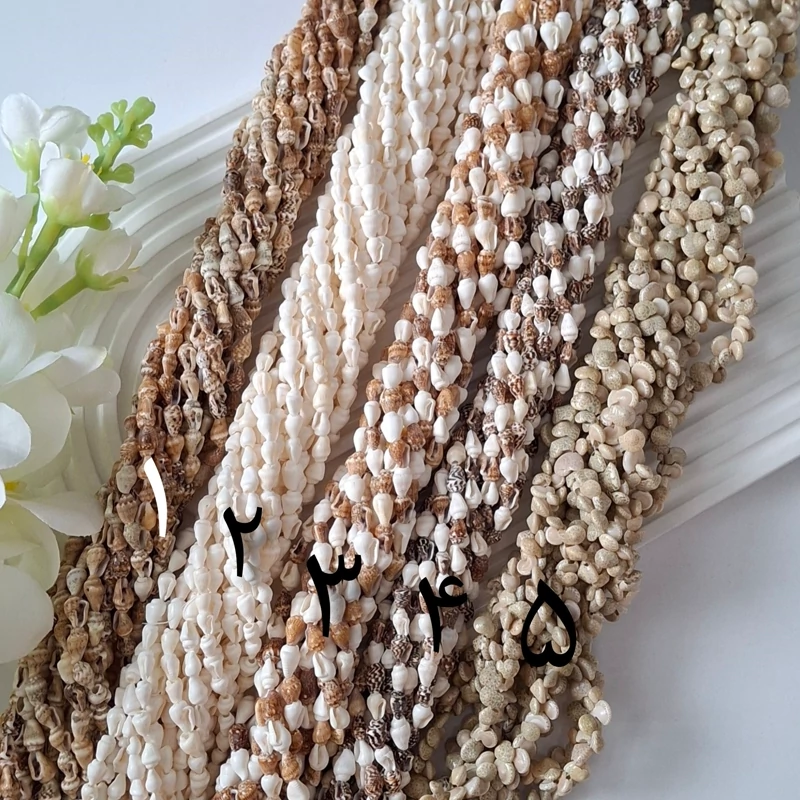 صدف گوش ماهی و حلزونی(فروش بصورت ریسه ای)