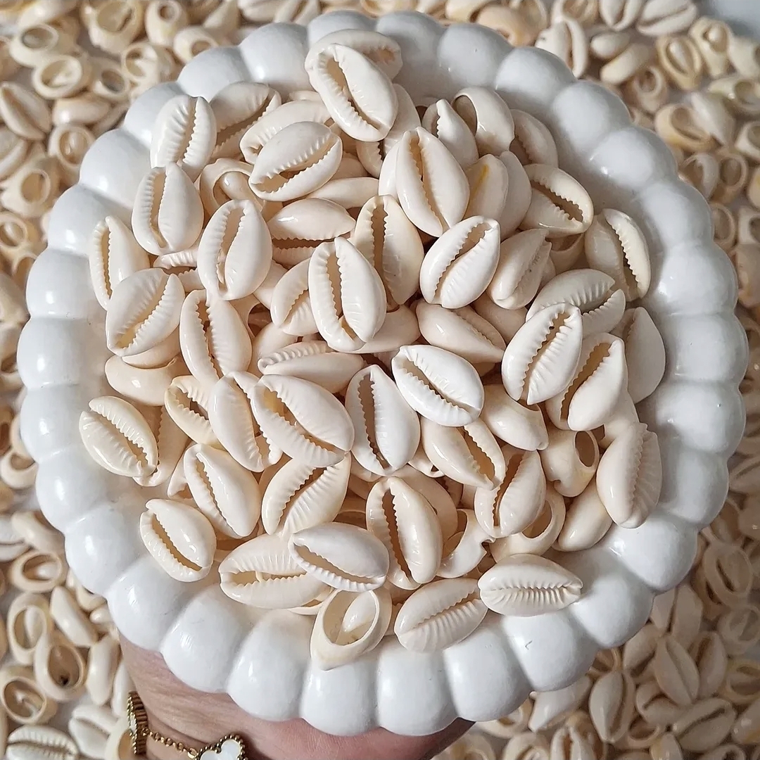 صدف طبیعی ( فروش بصورت دونه ای )